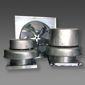 PRODUCTOS-FONDO-GRIS1